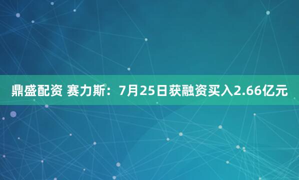 鼎盛配资 赛力斯：7月25日获融资买入2.66亿元